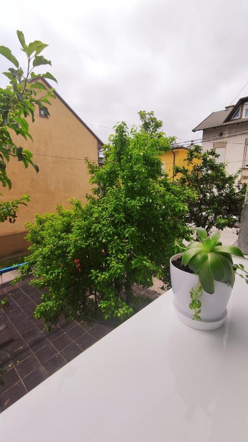 Ferienwohnung Mona Blue SJJ Exterior foto